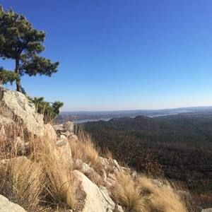 Meet your Posher, Griffin